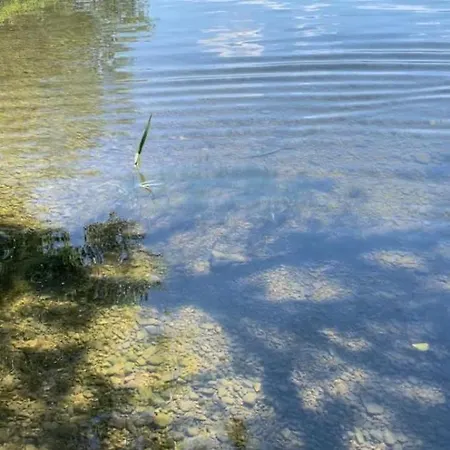V Objati Liptova Liptovská Sielnica